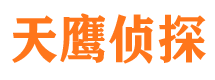 新干侦探公司